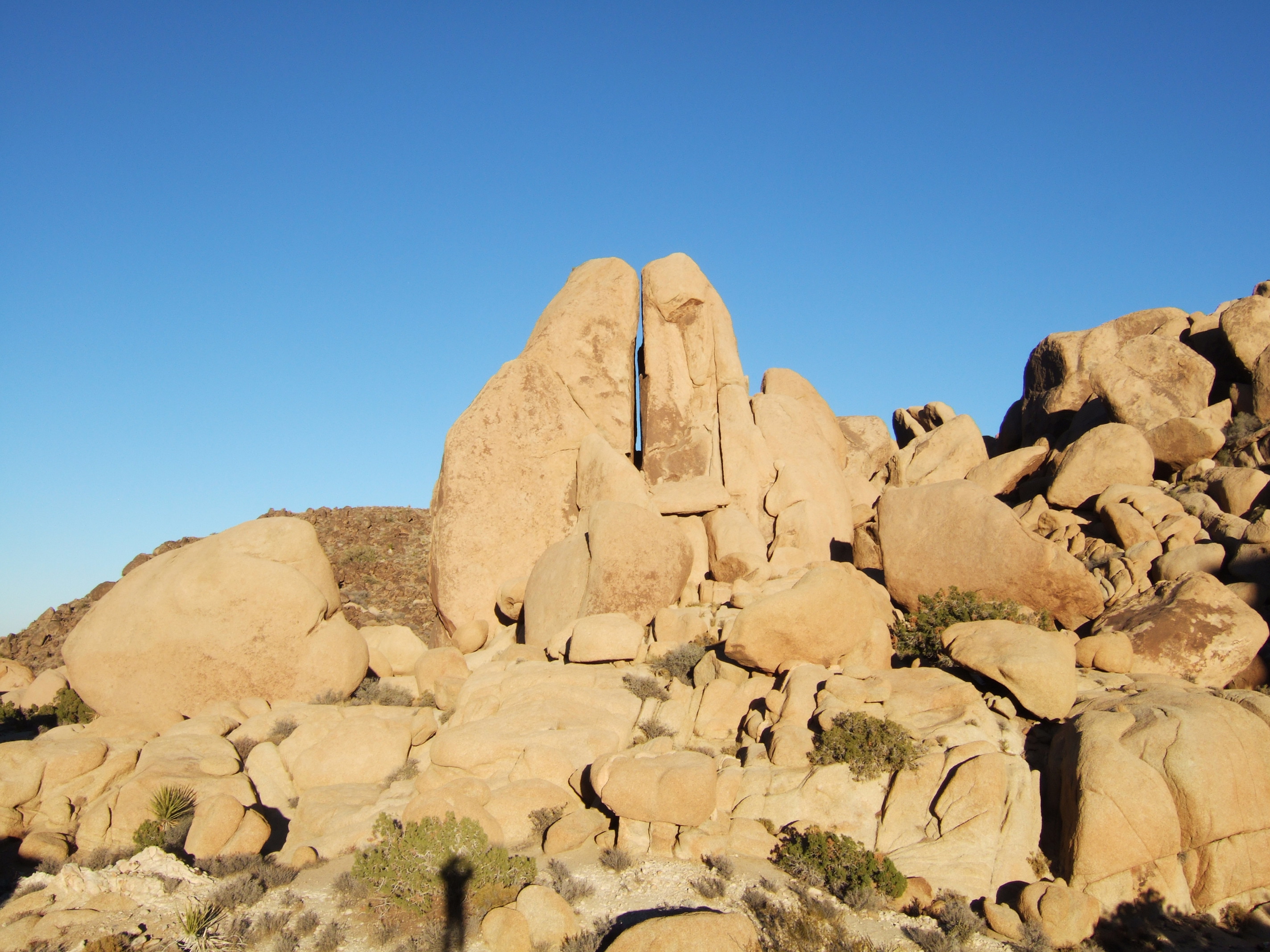 Joshua Tree NP